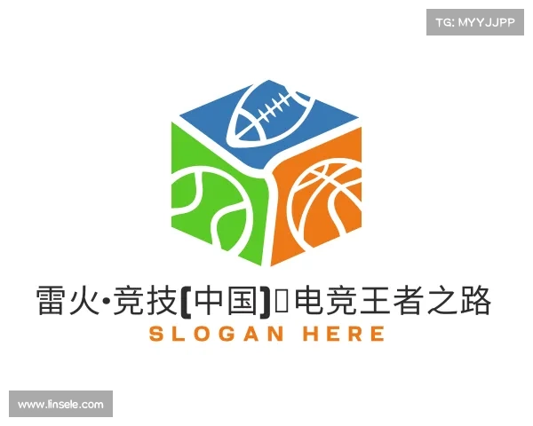 发现雷火·竞技(中国)✪电竞王者之路